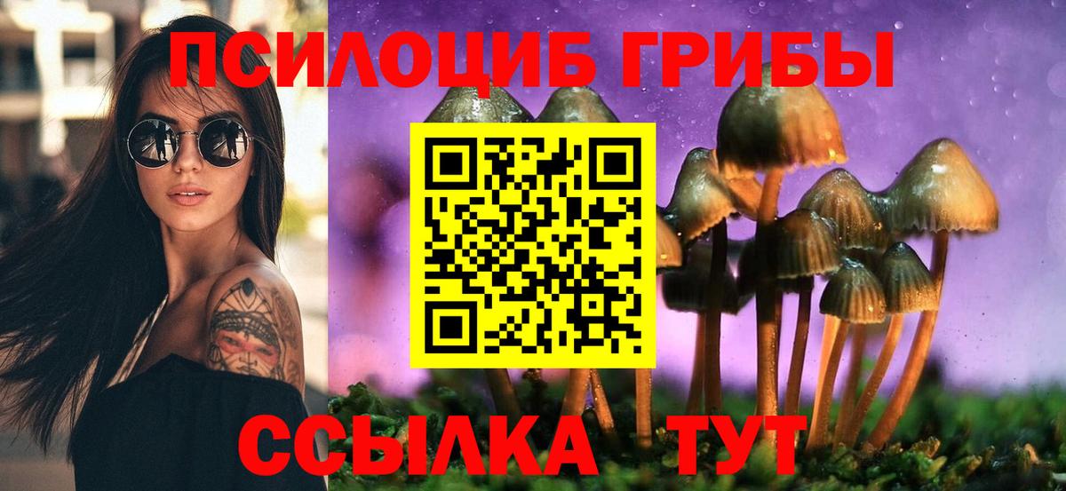 Псилоцибиновые грибы Cubensis  закладки  Вход с VPN  Димитровград  Псилоцибиновые грибы Psilocybe 