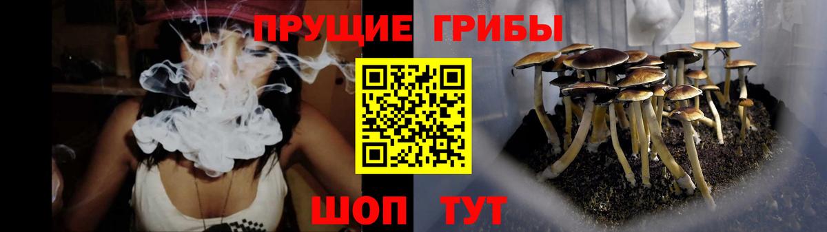 Галлюциногенные грибы мухоморы Димитровград